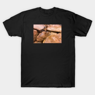 Big boulders on the beach T-Shirt